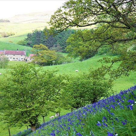 Bluebells Cottage Chop Gate Екстер'єр фото