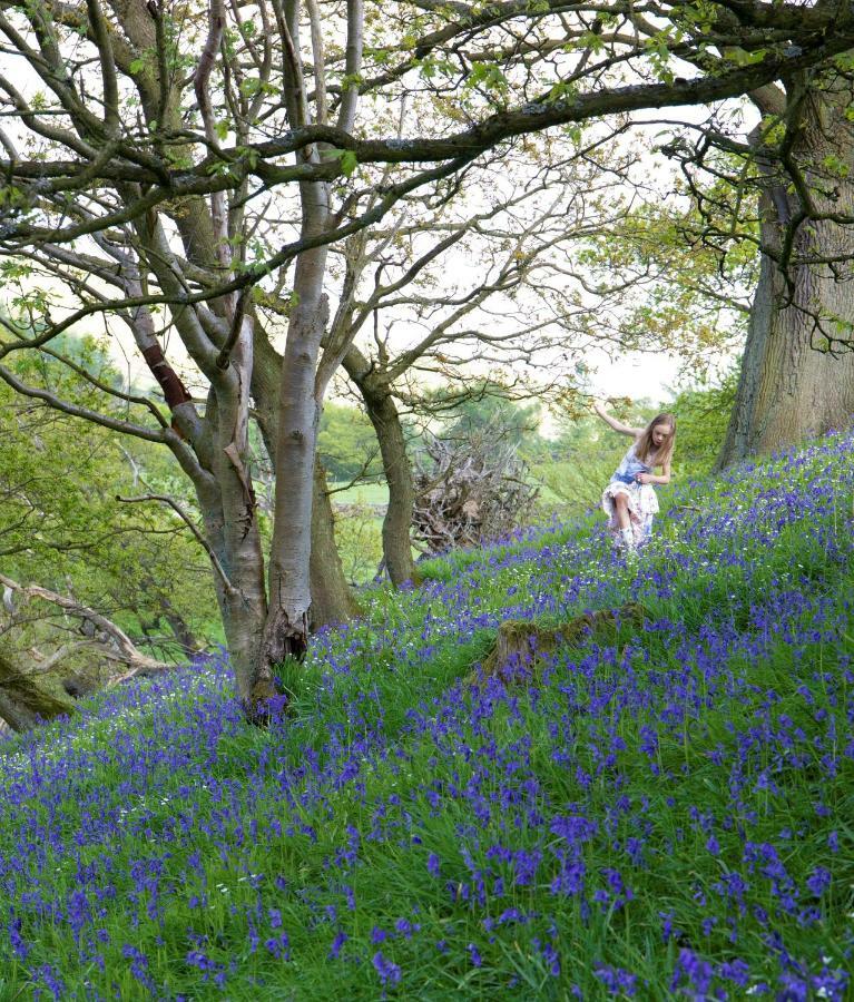 Bluebells Cottage Chop Gate Екстер'єр фото